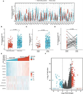 LncRNA MSC-AS1 Is a Diagnostic Biomarker and Predicts Poor Prognosis in Patients With Gastric Cancer by Integrated Bioinformatics Analysis